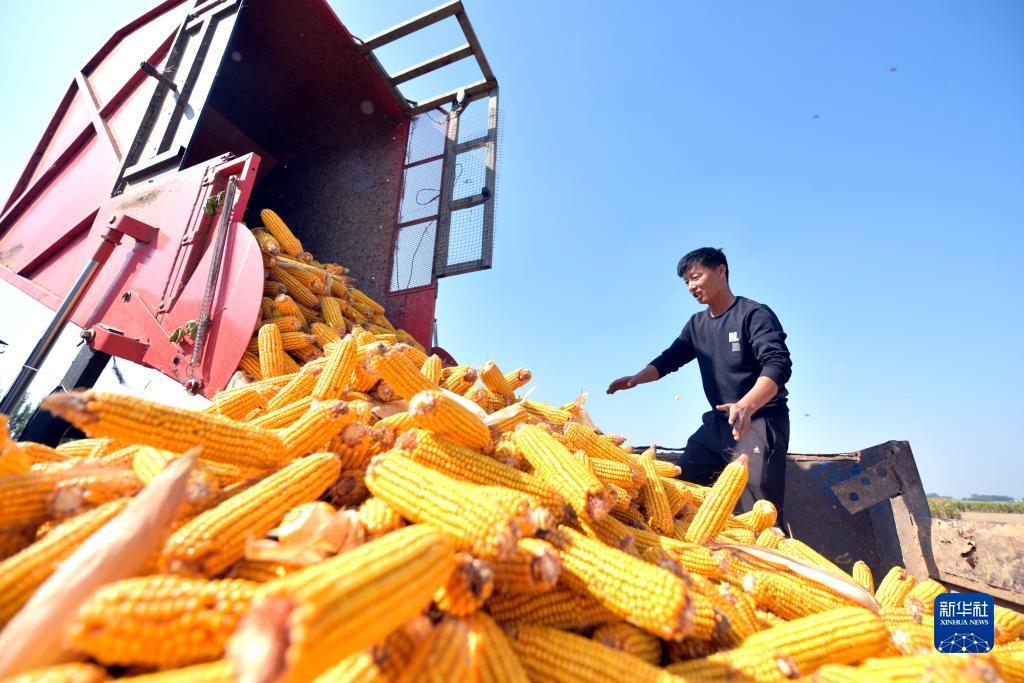 捕鱼游戏赚钱换人民币的有哪些